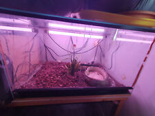 terrarium reptile ou serre 70x40x41cm tout équipé