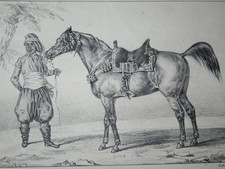 Auguste valmont - de, (?-1877)