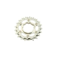 Pignons 19-21 dts pour