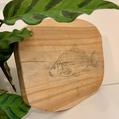 Planche rustique bois de - planche,