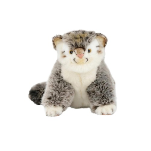 Chat pallas peluche - chat, compact