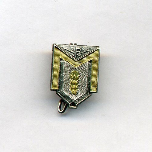 Réduction insigne religieux - réduction,