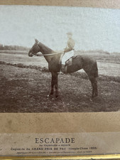 Tableau & Photos Equestre Cheval XIX Eme Par Volontaire & Escorte Jockey Ribes