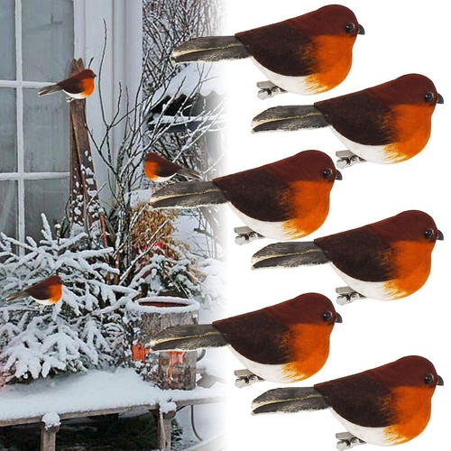 Oiseaux rouge gorge - oiseaux,