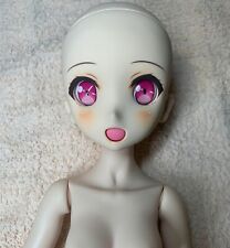 Volks custom head DDH-06 normal skin
