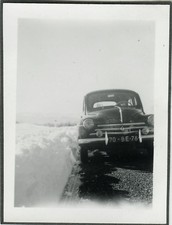 OLD PHOTO - VINTAGE SNAPSHOT -