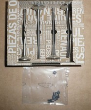 Original Renault soupapes