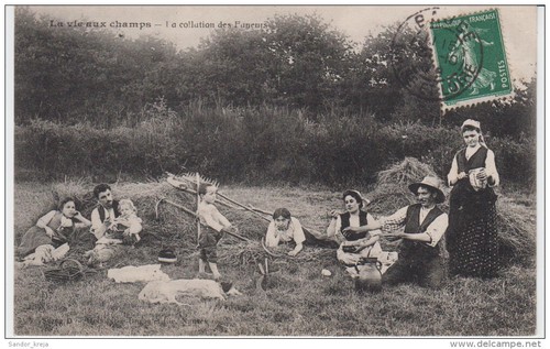 Cpa vie aux - vie, champs