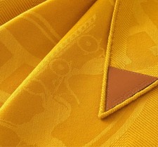 Écharpe en soie cachemire