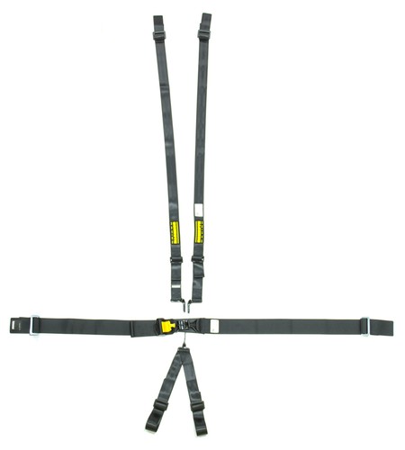 Schroth racing 6pt - racing,
