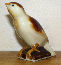 Très bel oiseau moineau - moineau, en