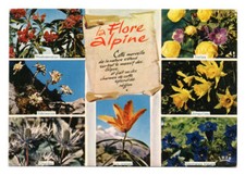 la flore alpine
