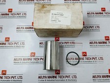 Nov 641102182 Chemise D'Arbre