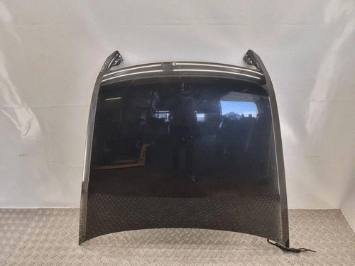 Phaeton capot 3 - vw,