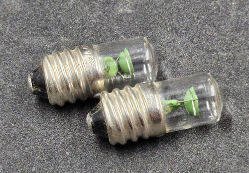 Lampe ampoule néon - , 220v