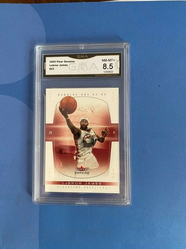 lebron james 04-05 fleer