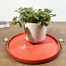 Plateau vintage montagnard en