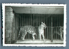 Galdin, France, Cirque Amar