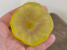 TRES JOLIE FLEUR DE CACTUS