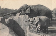 75 PARIS BOIS VINCENNES PARC