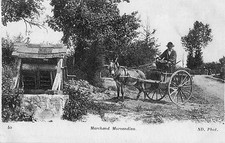 MORVAN attelage d'ane type de marchand Morvandiaux