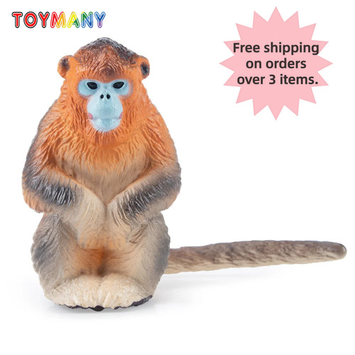 Toymany golden snub nosed - toymany, snub-nosed