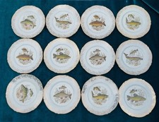 Lot 9 assiettes Plates à  Poisson Haviland En  Porcelaine de Limoges 