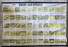 Ancienne Affiche Scolaire Allemande WW2 NSDAP sur Les Champignons 114cmx80cm