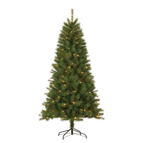 Giftsome sapin noël - sapin, de