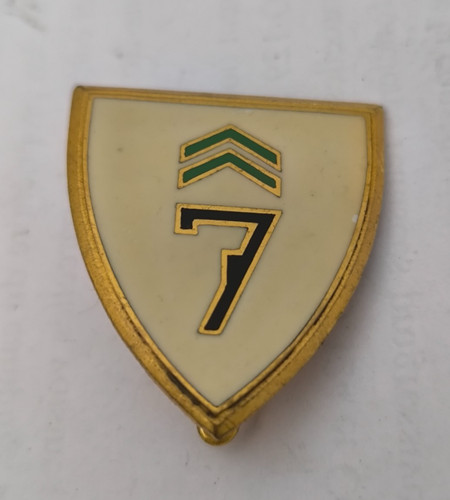 Insigne escadre de chasse - escadre,