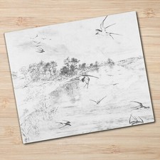 Protection en Verre Trempé