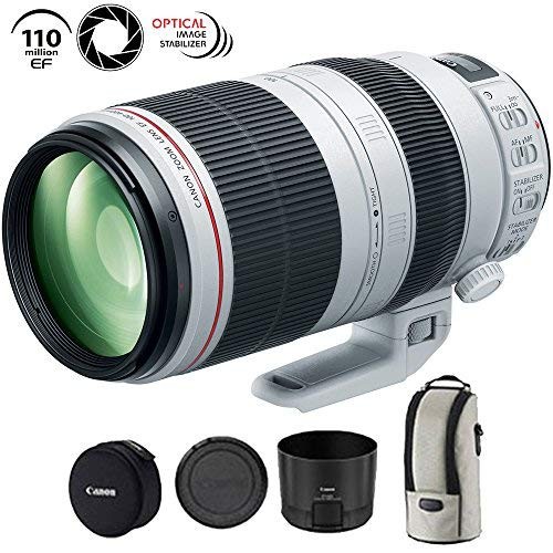 Canon 100 400mm 5 - 100-400mm, f/4.5-5.6l