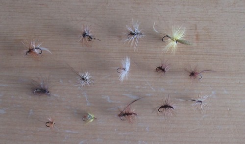 1982 mouches plumes - -,