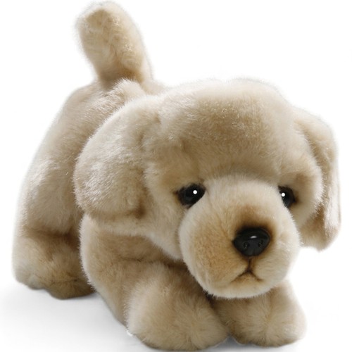 Carl dick golden retriever - dick,