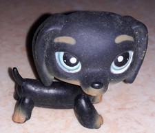 Petshop chien teckel 325