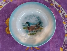 Plat Rond Creux ancien Faience Saint Amand Décor Canard Bleu Vert 27cm 750 Grs
