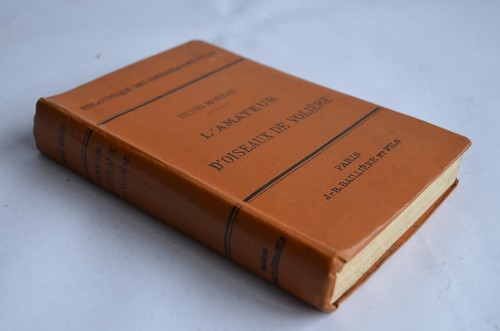 Henri moreau amateur - henri, l'amateur