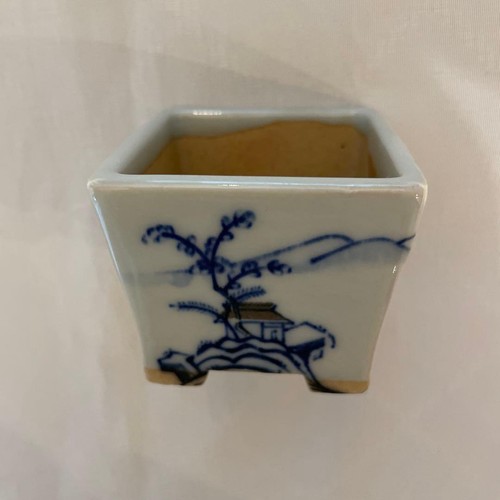 Pot bonsai peinture - bonsai,