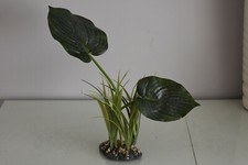 Terrarium Vivarium Large Bois Canopée Plante 11 x 8 x 42 CM Reptiles Grenouille