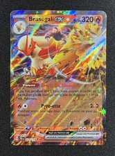 Carte pokémon braségali ex - carte,