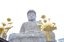 [Testé !/Opt NM] Objectif grand angle Nikon Ai Nikkor 18 mm f/4 MF monture...