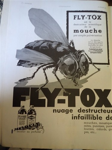 Fly tox tue mouches caméra - tox,