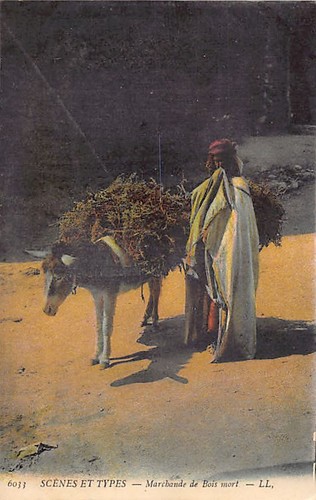 Algérie marchande de bois - marchande,