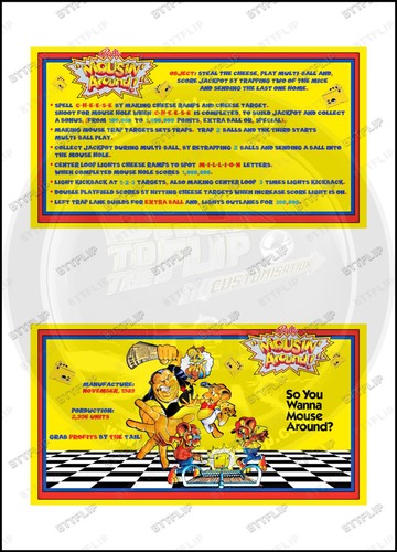 Cartes instructions flipper - instructions,