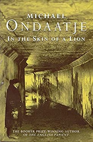 Dans peau lion broché - dans,
