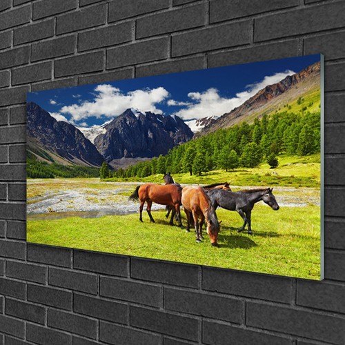 Tableau sur verre image - verre,