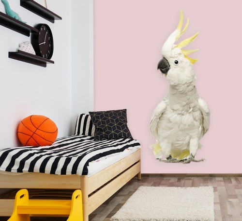 Perroquet blanc c75 - perroquet, 3d