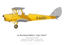 Print DH.82 Tiger Moth, G-AOEI