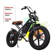 Vélo Électrique 20" – 250W, 48V 14Ah, Fat Bike Tout-Terrain Adulte CE