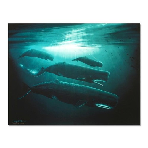 Wyland grand sperme baleine - sperme,